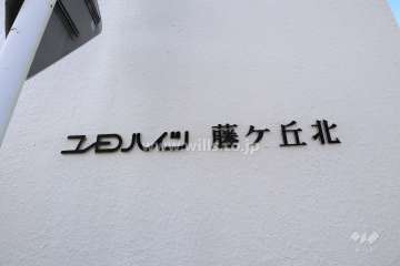 マンション名