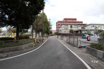 敷地の西側前面道路（北側から）