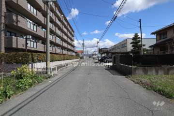 敷地の南側前面道路（西側から）