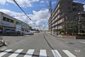 敷地の南側前面道路（東側から）