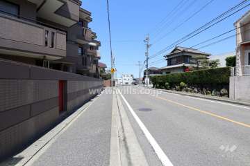 敷地東側の前面道路。二車線の通りです。