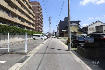 敷地南側の前面道路（西側から）