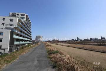 敷地の南側は矢田川が流れています。
