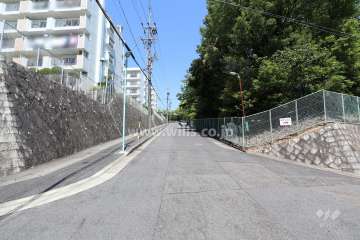 敷地東側の前面道路（南側から）