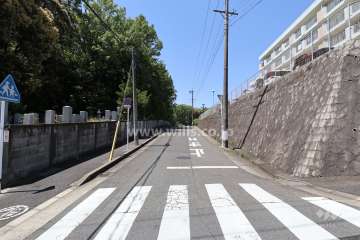 敷地南側の前面道路（東側から）