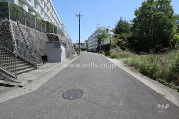 敷地南側の前面道路（西側から）