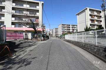 敷地の西側前面道路（南側から）