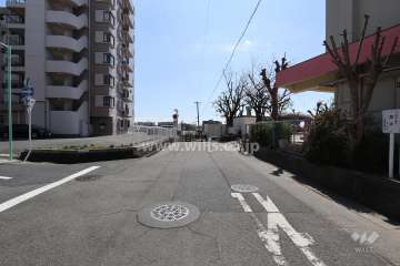 敷地の西側前面道路（北側から）