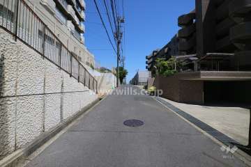 敷地北側の前面道路（西側から）