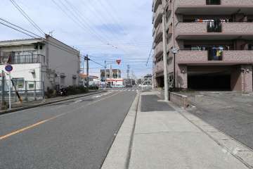 敷地の西側前面道路（南側から）