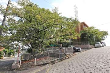 敷地南西側の前面道路（北西側から）
