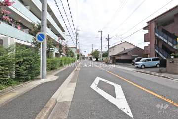 敷地南側の前面道路（西側から）