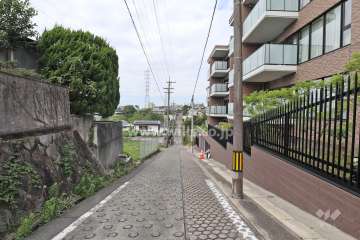 敷地南側の前面道路（東側から）