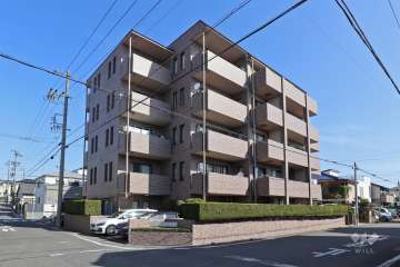 アルカディアハウス関取