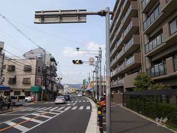 敷地西側のバス通り。