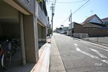 敷地西側の前面道路（北側から）