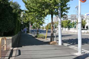 敷地北側の前面道路（東側から）