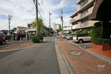 敷地西側の前面道路（南側から）