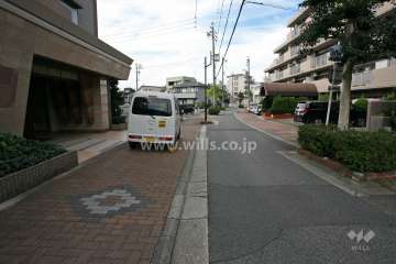 敷地西側の前面道路（北側から）