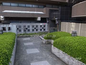 植栽の緑がきれいなエントランスアプローチ