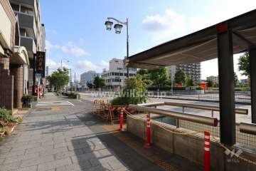 敷地東側の前面道路（南側から）