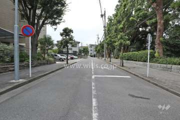 敷地西側の前面道路（北側から）