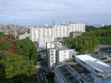 南千里第２コーポラス全体。周辺はたいへん緑豊かです。