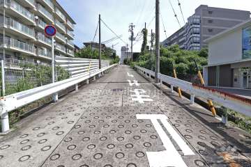 敷地南側の前面道路（西側から）