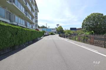 敷地西側の前面道路（北側から）