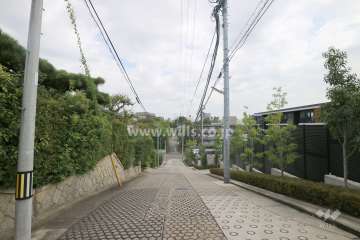 敷地北側の前面道路（西側から）