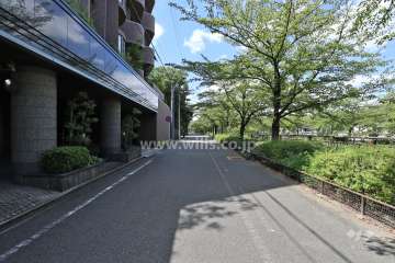 敷地北西側の前面道路（北東側から）