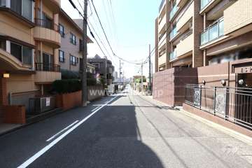 敷地南側の前面道路（東側から）