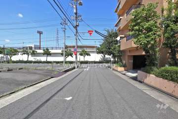 敷地西側の前面道路（北側から）