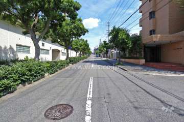 敷地北側の前面道路（西側から）