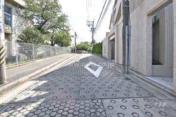 敷地東側の前面道路（北側から）