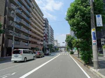 敷地北側の前面道路※通称フラワーロードです。