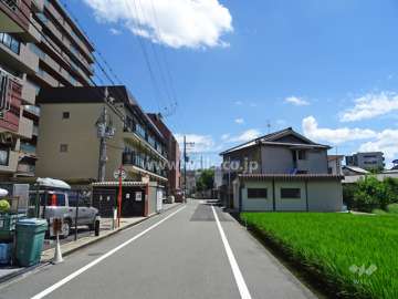 敷地南側の前面道路（西側から）