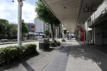 敷地東側の前面道路（北側から）