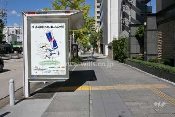 敷地西側の前面道路(南側から)