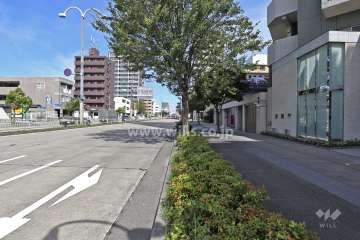 敷地西側の前面道路（南側から）