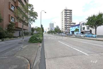 敷地東側の前面道路（南側から）