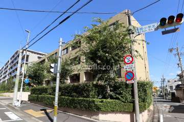 汐路アイリスの外観（南東側から）