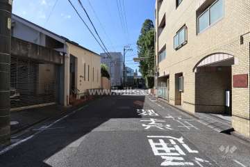 敷地東側の前面道路（北側から）