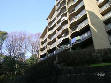 敷地の西側は雑木林で緑豊か