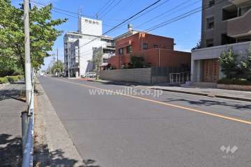 敷地北側の前面道路（西側から）
