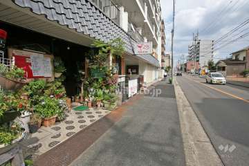 敷地南側の前面道路（西側から）