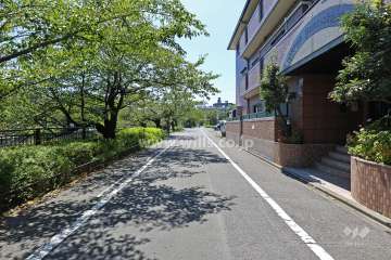 敷地東側の前面道路（北側から）