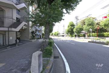 敷地北側の前面道路・『山手グリーンロード』