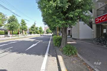 敷地北側の前面道路（西側から）