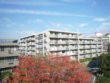 周辺はマンションと一戸建てが混在する静かな住宅地。敷地南西側には道を挟んで公園があります。
